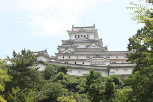 y{̕i|XgJ[hzɌPHsPH45̃nKL͂ photo by MIRO