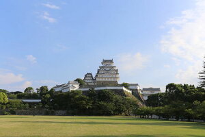 y{̕i|XgJ[hzɌPHsPH58̏̃nKL͂ photo by MIRO