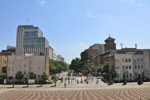 y{̕i|XgJ[hz_ސ쌧ls@_ސ쌧3̃nKL͂ photo by MIRO