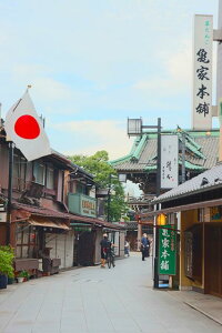 y{̕i|XgJ[hzsĖߓVoւ̓Ђ̒̃nKL͂ photo by MIRO photo by MIRO