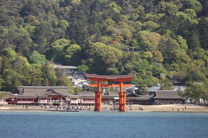 y{̕i|XgJ[hzLss{_Б咹Ɛ_Б̊όq̃nKL͂tphoto by MIRO