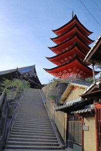 y{̕i|XgJ[hzLss{_Ќ܏d̗t4photo by MIRO