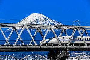 y{̕i|XgJ[hzxmRƕxmn铌CV700n̗tnKL͂photo by MIRO