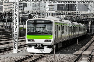 y{̕i|XgJ[hzR̃nKL͂3photo by MIRO