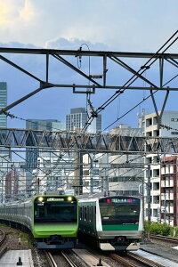 yS̃|XgJ[hzŐVJRRJR鋞͂photo by MIRO