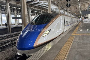 yS̃|XgJ[hzwozVE7ñ|XgJ[hGt͂photo by MIRO