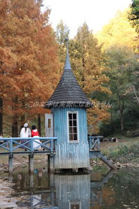 �y���{�̕��i�|�X�g�J�[�h�z�����ڂ̎q�ǂ��X�����̃|�X�g�J�[�h�G�t��8�͂���photo by MIRO