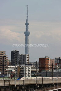 y{̕i|XgJ[hzXJCc[ƖkV̂͂5photo by MIRO