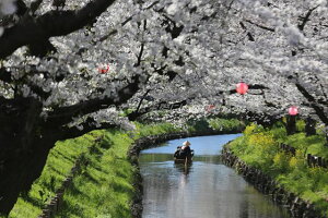 y{̕i|XgJ[hzʌzsV͊ݐ̍2025N̂͂nKLt photo by MIRO