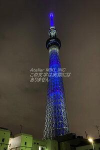 y{̕i|XgJ[hzXJCc[̂镗iiiu[CeBOj͂nKLt photo by MIRO