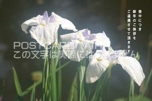 urɂVN̈AĒ܂vҊ̕|XgJ[hGtnKL͂