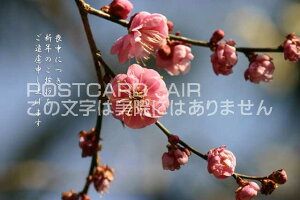 urɂVN̈A\グ܂v~̕|XgJ[hGtnKL͂