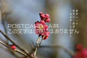 urɂVN̈A\グ܂v~̕|XgJ[hGtnKL͂