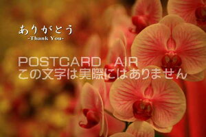 u肪Ƃ@-Thank You-v|XgJ[hGtnKL͂