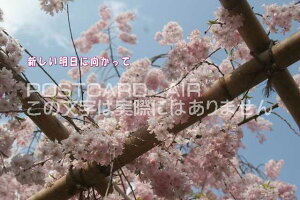 uVɌāv̕|XgJ[hGtnKL͂