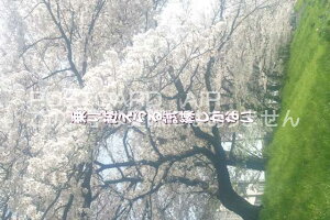 uz鎎Ȃv|XgJ[hGtnKL͂