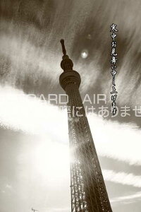 yGߓ~|XgJ[hAIRzu\グ܂BvXJCc[|XgJ[hGtnKL͂