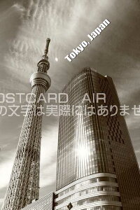 |XgJ[hAIRyόnV[YzuTokyo, JapanvXJCc[|XgJ[hGtnKL͂