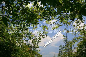 |XgJ[hAIRyόnV[YzuTokyo, JapanvR|XgJ[hGtnKL͂