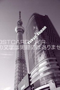 |XgJ[hAIRyόnV[YzuTokyo, JapanvXJCc[|XgJ[hGtnKL͂