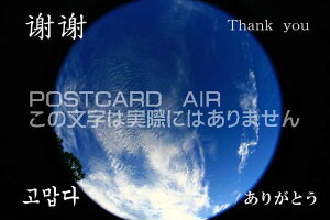 uӎӁvThanak you 肪Ƃ@??? v|XgJ[hGtnKL͂