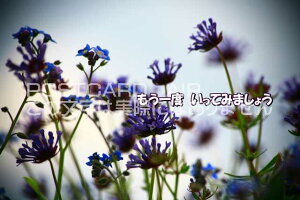 ux@Ă݂܂傤v|XgJ[hGtnKL͂