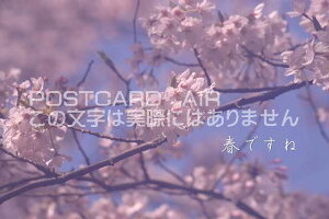 utłˁṽJ[h|XgJ[hGtnKL͂