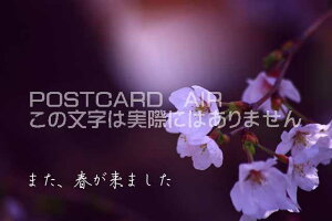 u܂At܂ṽJ[h|XgJ[hGtnKL͂