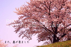 u܂At܂ṽJ[h|XgJ[hGtnKL͂