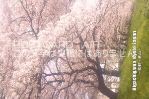 |XgJ[hAIRyόnV[YzuHigashiyama, Kyoto, Japan@`sER`ṽJ[h|XgJ[hGtnKL͂