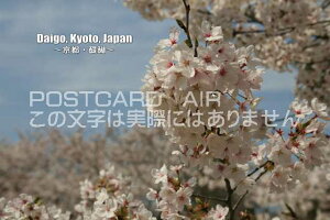 |XgJ[hAIRyόnV[YzuDaigo, Kyoto, Japan@`sE`ṽJ[h|XgJ[hGtnKL͂