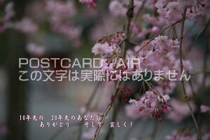 u10Ń@20N̂ȂɁ@肪Ƃ@ā@XṽJ[h|XgJ[hGtnKL͂