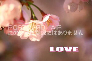 uLOVEṽJ[h|XgJ[hGtnKL͂