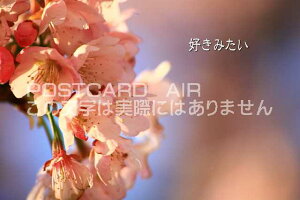 uD݂ṽJ[h|XgJ[hGtnKL͂