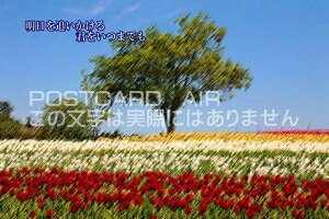 uǂ@N܂łv؂̃J[h|XgJ[hGtnKL͂