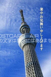 yG߉ă|XgJ[hAIRzu\グ܂vXJCc[̃J[h|XgJ[hGtnKL͂