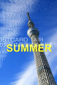 uSUMMERvXJCc[̃J[h|XgJ[hGtnKL͂