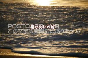 uN΁vg̃|XgJ[h|XgJ[hGtnKL͂