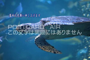 yG߉ă|XgJ[hAIRzu\グ܂IvCK@CT̃J[h|XgJ[hGtnKL͂