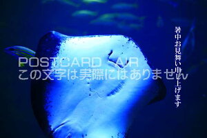 yG߉ă|XgJ[hAIRzu\グ܂IvGC̃J[h|XgJ[hGtnKL͂