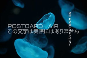 yG߉ă|XgJ[hAIRzu\グ܂IvCNQẴJ[h|XgJ[hGtnKL͂