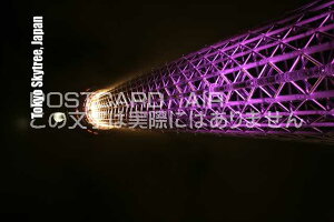 |XgJ[hAIRyόnV[YzuTokyo Skytree, JapanvXJCc[̗LiF|XgJ[hGtnKL͂