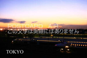 |XgJ[hAIRyόnV[YzuTOKYOv̑̐Vԗn̕|XgJ[hGtnKL͂