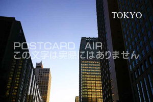 |XgJ[hAIRyόnV[YzuTOKYOvwt߂̃r̕|XgJ[hGtnKL͂