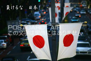 uȓ{Iv\Q@̊ۂ̕|XgJ[hGtnKL͂