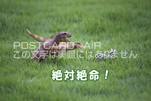 ytœ`|XgJ[hAIRzuΐ▽Iv̊GtnKL͂