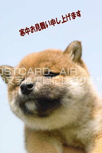 G߂̈A|XgJ[hyՂƃJ[h!vČ̐Ԃ̕itnKL͂