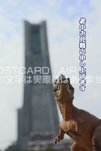 yĂ̈A|XgJ[hzu\グ܂v݂ȂƂ݂炢Ɍꂽ̗tnKL͂@photo by MIRO