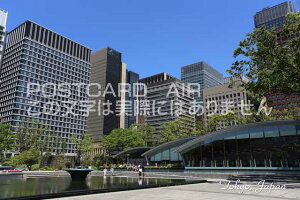 y{̊όn|XgJ[hzuTokyo, Japanvwac̗t͂@photo by MIRO