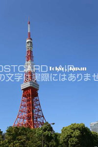 y{̊όn|XgJ[hzuTokyo, Japanv^[̗t͂@photo by MIRO